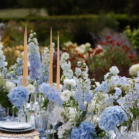 Urquid Linen | Our stunning French Toile Table Linen in Lt.Blue 🦋She’s a beauty. She’s a grace🦋 . . . .  #urquidlinen #Fabric #Linen #wedding ... | Instagram Blue French Wedding, French Toile Wedding, Blue Toile Wedding, Blue Toile Wedding Reception, Blue Floral Tablecloth Wedding, Blue Floral Wedding Table Cloth, Blue Toile Invitations, Blue Toile Baby Shower Decor, Toile Wedding