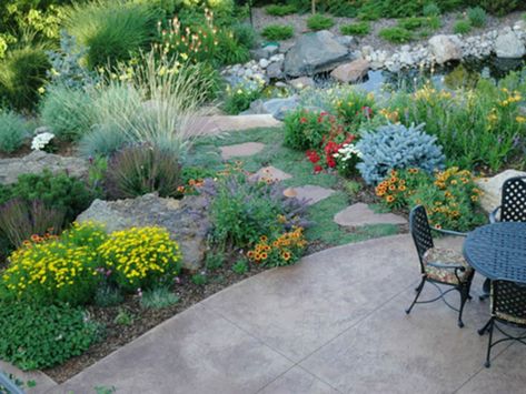 Most new home building in California opting for Xeriscape landscaping | Sutherland Landscape Supplies Chico Colorado Landscaping, Xeriscape Front Yard, Xeriscape Landscaping, Water Wise Landscaping, Denver Botanic Gardens, Gardening Projects, Easy Landscaping, Water Wise, Backyard Inspo