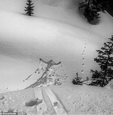 A skier appears to have taken a plunge in this black and white image. It is unclear where ... Skiing Memes, Kevin The Office, Ski Pics, Skiing Humor, Kayak Trip, Morning Humor, Very Bad, Cat Posters, Morning Pictures