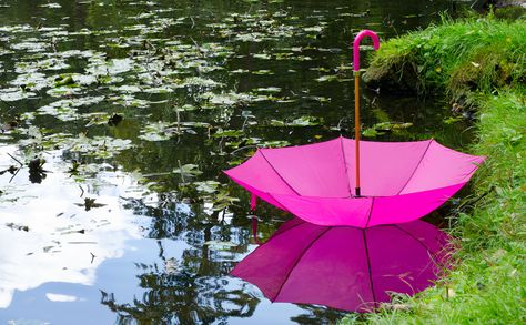 An upside down world. Closed Umbrella Reference, Umbrella Perspective, Upside Down Umbrella Decor, Manga Pose, Pink Umbrella Aesthetic, Upside Down World, Upside Down Umbrella, Open Umbrella, Adventure Anime