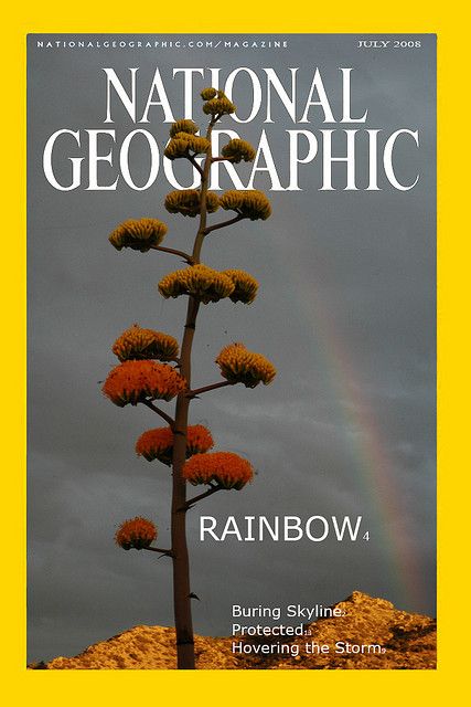 EP National Geographic Cover 2 by jhhwild, via Flickr Vintage National Geographic Cover, National Geographic Magazine Covers, National Geographic Poster, Nature Magazine Cover, Ads Aesthetic, National Geographic Logo, Miles Art, Natural Geographic, National Geographic Cover