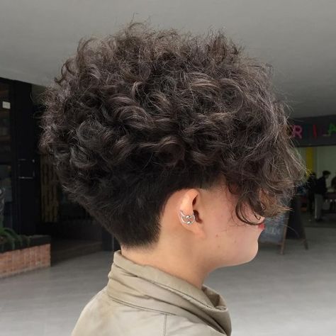 Short Tapered Cut for Frizzy Curly Hair Shaved Curly Hairstyles, Modern Mullet Curly Hair, Shaved Curly Hair, Pixie Cuts For Thick Hair, Pixie Haircuts For Thick Hair, Curly Short Hairstyles, Curly Mohawk Hairstyles, Cuts For Thick Hair, Curly Mullet Hairstyle Women