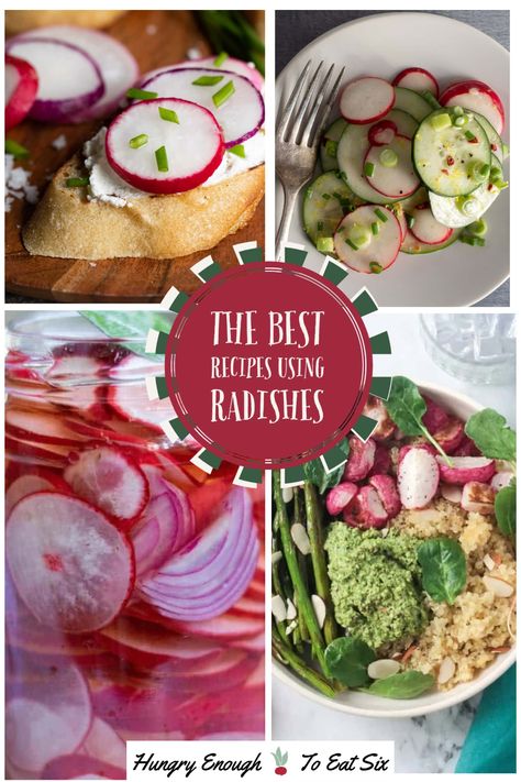 Looking for some new ways to enjoy those little red radishes? Here are the best recipes using radishes, tasty ideas from fellow foodies. At HungryEnoughToEatSix.com Quick Pickled Radishes, Ground Chicken Tacos, Rice Krispie Treats Christmas, Radish Recipes, Roasted Radishes, Pickled Radishes, Chocolate Cream Pie, Salted Caramel Chocolate, Veggie Bowl