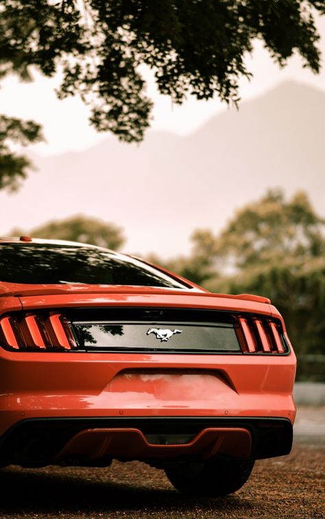 #car #ford #fordmustang #parking #rearview #red #Cars. Read more: https://wallpapershd.info/wallpaper-ford-rear-view-car-parking-ford-mustang-red-1584846484.html Check more at https://wallpapershd.info/wallpaper-ford-rear-view-car-parking-ford-mustang-red-1584846484.html Mustang Red Wallpaper, Mustang Car Aesthetic, Mustang Red, Ford Mustang Wallpaper, Red Mustang, Red Cars, Car Iphone Wallpaper, Tokyo Drift Cars, Mustang Wallpaper