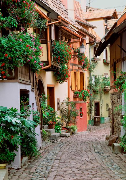 ALSACE, FRANCE Greek Restaurants, Alsace France, Architecture Drawing Art, Italy Aesthetic, Beautiful Streets, Old Street, Dream Travel Destinations, Summer Dream, European Summer