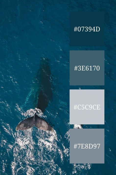 Blue Grey Color Palette, 4 Color Combos, Color Scheme Generator, Blue Color Palettes, Blue Grey Color, Grey Highlights, Color Design Inspiration, Graceful Movement, The Deep Blue Sea