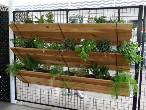 A few tips for making your vertical garden grow. Cedar Raised Garden Beds, Aquaponics Diy, Vertical Vegetable Garden, Vertical Gardens, Aquaponics System, Hanging Garden, Garden Set, Self Watering, Wall Planter