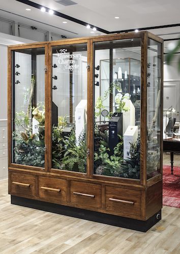 Plant Cabinet Display, Plant Cabinet, Plant Decoration Ideas, Cabinet Display, Creative Company, Vivarium, Green Rooms, House Inspo, Indoor Garden