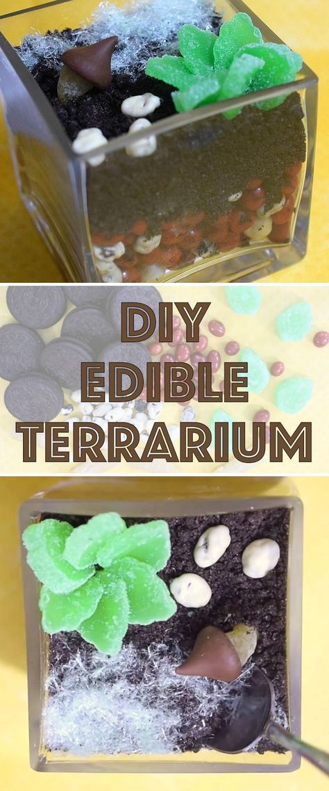 This cute terrarium is made from cookies and candy! Terrarium Cupcakes, Edible Terrarium, Cute Terrarium, Creative Sweets, Make A Terrarium, Library Crafts, Cake Design Inspiration, Diy Edible, Diy Terrarium