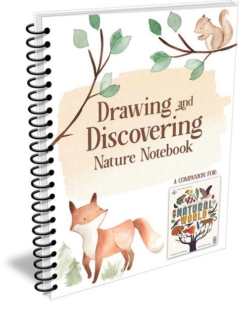 Nature Anatomy, Layers Of The Ocean, Nature Notebook, Julia Rothman, Discovery Day, Drawing Notebook, Creation Science, Seed Dispersal, Drawing Nature