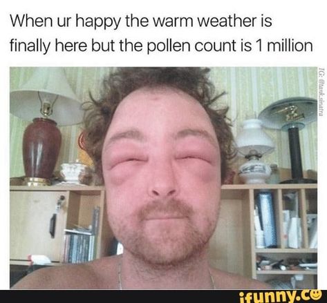 When ur happy the warm weather is ﬁnally here but the pollen count is1 million – popular memes on the site iFunny.co Allergy Memes Funny Hilarious, Allergy Memes, Allergies Funny, Words Of Condolence, Memes Funny Hilarious, Stock Photos Funny, Crying At Night, Baseball Humor, Memes Funny