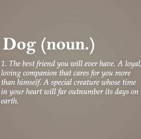 The true definition of dog Love Quotes For Him Boyfriend, Best Dog Quotes, Friends Boys, Dogs Quotes, Dog Quotes Love, Fu Dog, Dog Rules, Must Love Dogs, Memes Humor