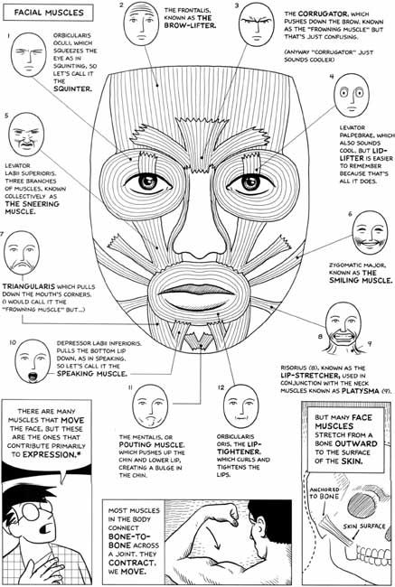 Facial Muscles Anatomy, Oral Motor Activities, Muscles Anatomy, Myofunctional Therapy, Making Comics, Facial Anatomy, Oral Motor, Facial Aesthetics, Medical School Studying