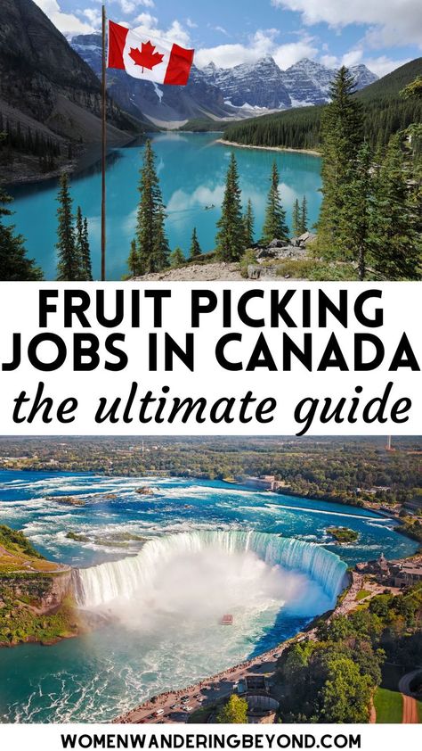 Jobs In Canada, Fruit Picker, American States, Best Travel Destinations, Fruit Picking, Education Level, Travel Destinations, Good Things, Education