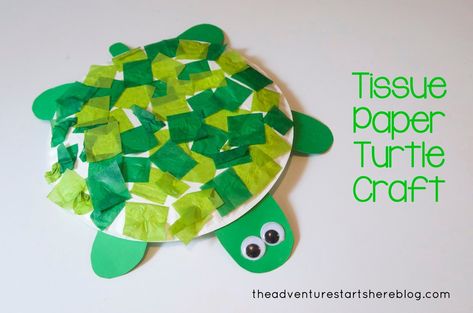 5 Fun Turtle Crafts - diy Thought. Tissue paper turtle craft. Paper Turtle, Turtle Craft, Under The Sea Crafts, Turtle Crafts, Sea Crafts, Diy Toddler, Ocean Crafts, Daycare Crafts, Paper Plate Crafts