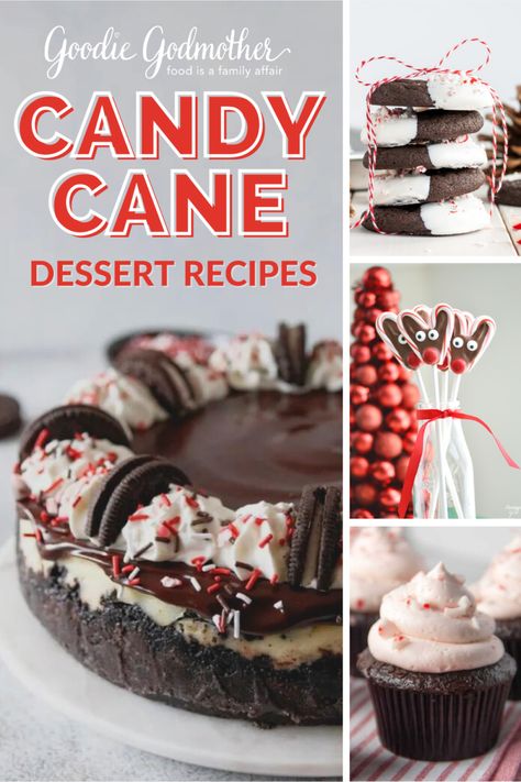 These candy cane dessert recipes are perfect for the holiday season! Make candy cane Christmas desserts that everyone will love. Have you tried any recipes with peppermint candy? Recipes Using Crushed Candy Canes, Candy Cane Desserts, Unique Holiday Desserts, Candy Cane Dessert, Fun Holiday Treats, Christmas Sweet Treats, Holiday Desserts Table, Homemade Food Gifts, Candy Cane Cookies