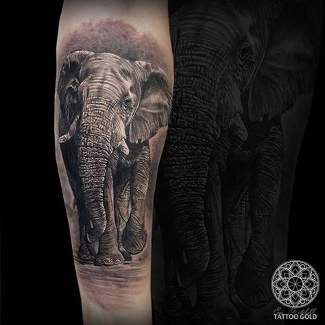 Elephant Tattoos Men, Tattoos Men Leg, Cycling Posters, Shape Tattoo, Elephant Pictures, Tattoo Prices, Sun Tattoos, Elephant Tattoo, Top Tattoos