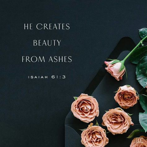 When we have an encounter with Jesus, He creates beauty from ashes (Isaiah 61:3). He gives us a right mind and clear vision. He gives us peace (John 14:27) for He is the Prince of Peace (Isaiah 9:6). We become a new creation in Him ( 2 Corinthians 5:17) Beauty From Ashes, Isaiah 61, Ayat Alkitab, Verses Wallpaper, Inspirational Bible Quotes, Biblical Quotes, Bible Verse Wallpaper, Inspirational Bible Verses, Favorite Bible Verses