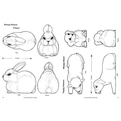 Wood Carving Templates, Animal Study Sketch, Squirrel Carving, Wood Carving Patterns Free, Whittling Patterns, Easter Drawings, Whittling Projects, Wood Craft Patterns, Wood Carving For Beginners