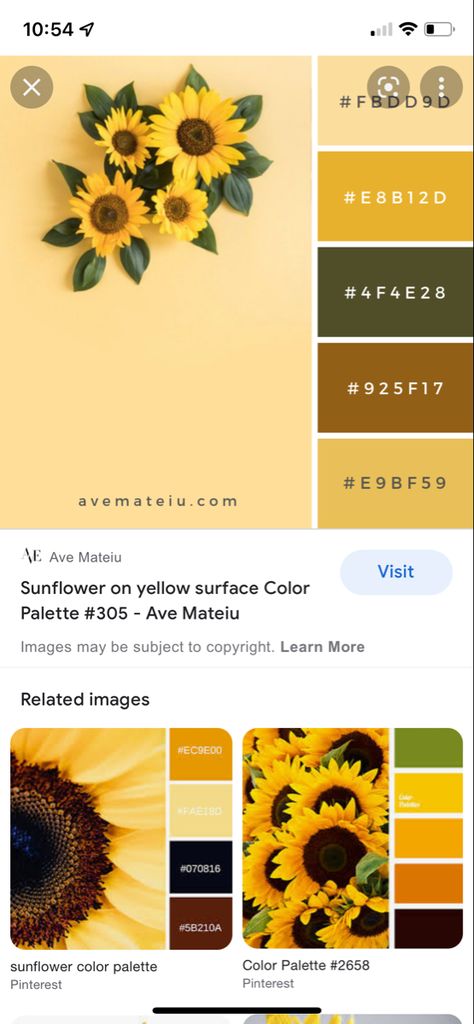 Sunflower Kitchen Color Scheme, Sunflower Laundry Room Ideas, Sunflower Themed Bedroom, Sunflower Kitchen Paint Colors, Sunflower Office Decor Ideas, Sunflower Themed Room, Sunflower Laundry Room, Sunflower Kitchen Ideas, Sunflower Accent Wall