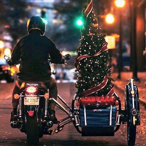 Perfect! Motorcycle Christmas Tree Motorcycle Christmas, Moto Triumph, Bobber Custom, Moto Cafe, Triumph Bonneville, Merry Christmas To You, Triumph Motorcycles, Noel Christmas, Sidecar