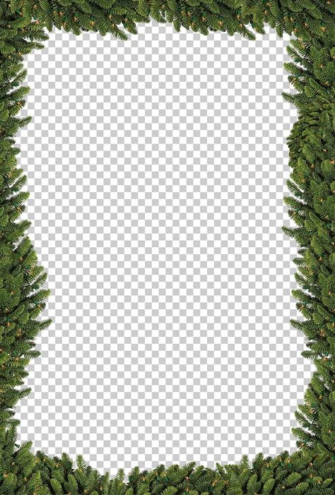 Christmas Border Frame, Christmas Frame Png, Tree Border, Bethlehem Christmas, Tree Borders, Png Border, Transparent Background Image, Christmas Tree Png, Tree Textures