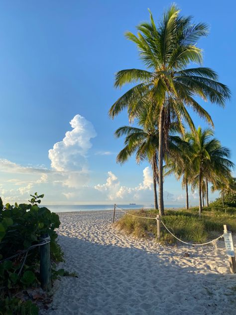 Florida Wallpaper, Summer Florida, Florida Palm Trees, Beach Palm Trees, Best Wallpaper Hd, Seaside Florida, Palm Trees Beach, West Palm Beach Florida, Florida Girl