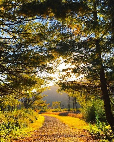 Where's your favorite hike in the Pocono Mountains? 🥾 Here's the view from the McDade Trail in the Delaware Water Gap National Recreation Area. Check out Edge of the Woods Outfitters to rent a bike to enjoy the trail. 🚲 @edgeofthewoodsoutfitters #PoconoMtns #PoconoMountains #FallHikes Poconos Mountains, Delaware Water Gap, Pocono Mountains, The Trail, Delaware, The View, North Carolina, Gap, Hiking