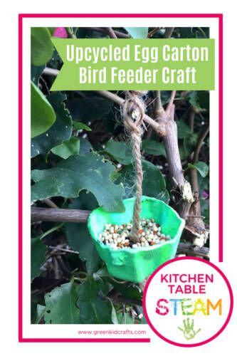 Craft For Spring, Winter Bird Feeders, Craft Bird, Make A Bird Feeder, Bird Feeder Craft, Crafts Spring, Egg Craft, Upcycle Crafts Diy, Nature Education