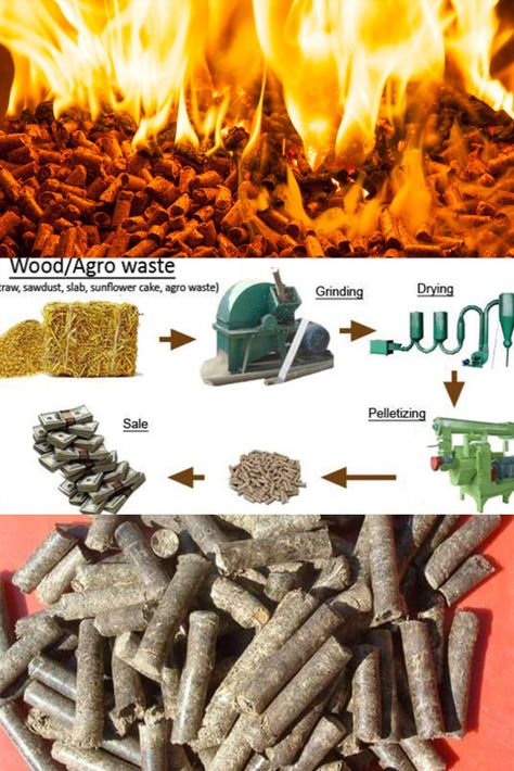 Solar Cooker, Wood Pellet, Wooden Products, Energy Resources, Wood Pellets, Wood Chips, Production Line, Economic Development, Renewable Energy