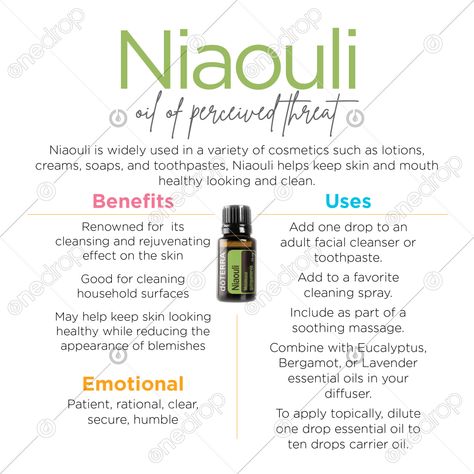 Benefits Of Eucalyptus Oil, Lemon Eucalyptus Oil Uses, Doterra Lemon Eucalyptus, Eucalyptus Uses, Eucalyptus Benefits, Eucalyptus Essential Oil Uses, Eucalyptus Oil Benefits, Sacred Sisters, Niaouli Essential Oil