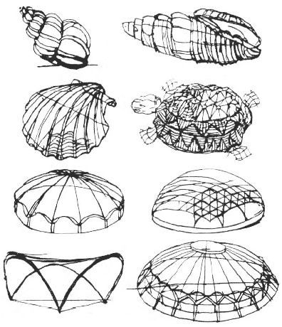 Biomimicry examples in arch/design Organic Architecture Concept, Biomimicry Architecture, Architecture Drawing Sketchbooks, Architecture Drawing Plan, Pavilion Architecture, Conceptual Architecture, Architecture Concept Diagram, Architecture Design Sketch, Architecture Design Drawing