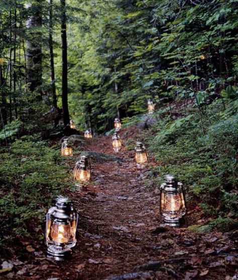 Hozier Wedding Aesthetic, Goblin Core Wedding, Woodland Lantern, Lights In The Woods, Lit Pathway, Lighted Pathway, Lanterns In Trees, Railroad Wedding, Lantern Pathway