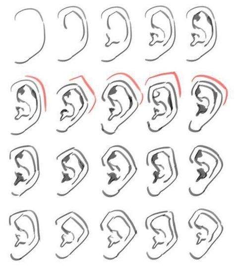 Ear Shapes, Human Anatomy Drawing, Body Reference Drawing, Drawing Expressions, Anatomy Drawing, Poses References, Digital Painting Tutorials, Figure Drawing Reference, Anatomy Reference