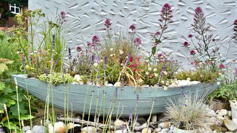 How to grow a mini meadow - experts reveal everything you need to grow wildflowers in a small garden — Ideal Home Mini Meadow, Giant Garden, Grow Wildflowers, Wildflower Meadow, Small Garden, How To Grow, Ideal Home, To Grow, Wild Flowers