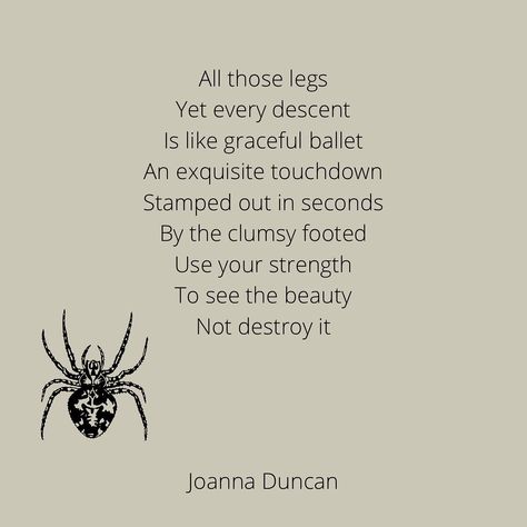 Joanna Duncan on Instagram: “#poetry #spider #beauty #nature #superheroes #poem #nature #earth #planet #igpoetry #igwriters #writingcommunity #poetcommunity…” Insect Poem, Bug Poetry, Planet Poetry, Bug Poem, Spider Quotes, Spider Poem, Poem Nature, Instagram Poetry, Earth Planet