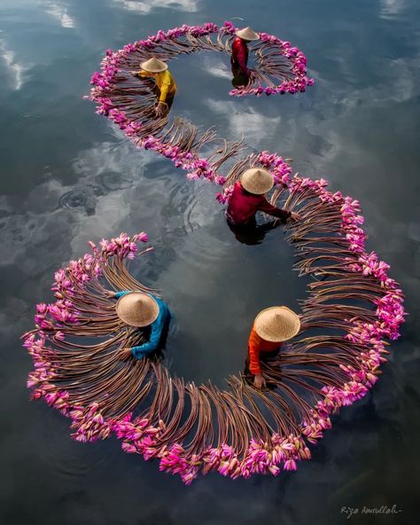 Riza Amrullah on Instagram: “. Lotus Harvesting #awesomeplaces #beautifulplaces #bogor #discoverearth #earthmagazine #geo011903497 #geo0940uber #geonusantara…” Haidar Ali, Congratulations Photos, Beautiful Vietnam, Little Buddha, Adventure Photography, Vietnam Travel, Water Lilies, Art Movement, Seville