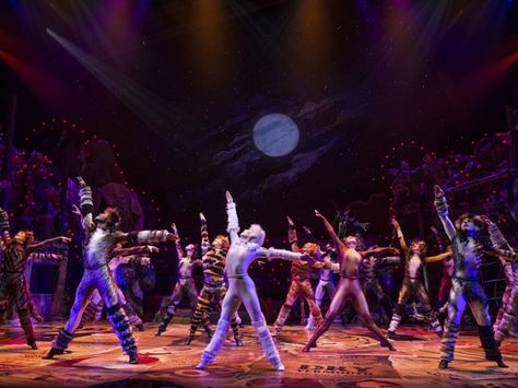 Broadway Dancers, Jellicle Cats, Cats Musical, Broadway Theatre, Nine Lives, Music Theater, Newsies, Broadway Musicals, Phantom Of The Opera