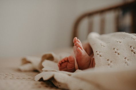 Mastering Newborn Photography: Top Tips for New Parents — Delaney Dobson Photography | Weddings Photography, Family & Newborn Portraits 1st Birthday Photos, Newborn Shoot, Newborn Portrait, A Day In Life, Baby Makes, Photography Family, Mini Sessions, Newborn Session, Cute Poses