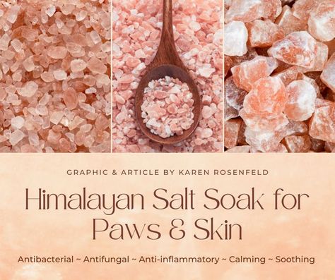 Himalayan salt soak (sole) can help soothe your dog and cat's Paws and Skin Salt Sole, Salt In Water, Sole Recipes, Celtic Salt, Ottawa Valley, Paw Balm, Dog Whisperer, Pink Paws, Whole Food Diet