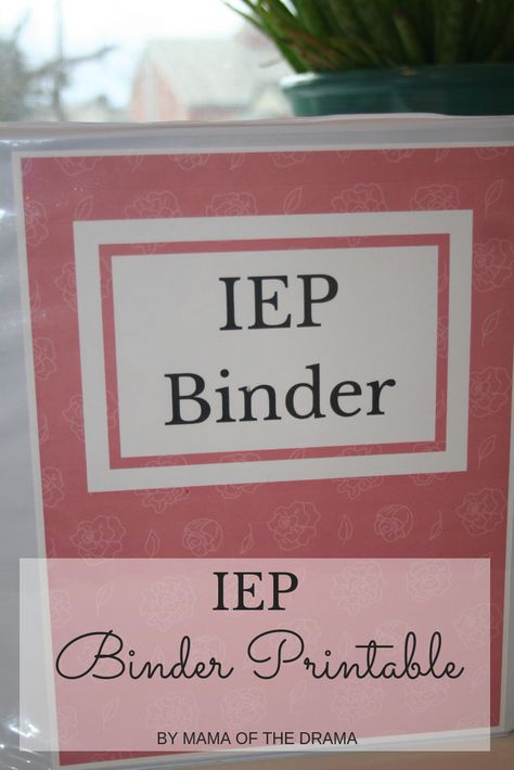 An IEP stands for Individual Education Plan, a plan for children with special needs. Why we got an IEP, and get a FREE printable binder cover. Iep Parent Binder, Iep Binder Organization, Iep Binder For Parents Free, Iep Binder Teachers, Free Iep Binder Printables, Iep For Parents, Iep Binder For Parents, Time Block Planner, Special Education Teacher Binder