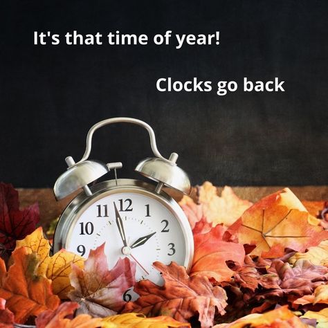 Daylight Savings Fall Back, Fall Back Time Change, Turn Clocks Back, Winter Time Change, Fall Back Time, Spring Forward Fall Back, Clocks Fall Back, Clocks Go Back, Hugs And Kisses Quotes