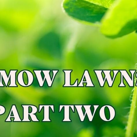 Daryl | Sustainable Landscape Design Studio on Instagram: "Part Two of No-Mow & Low Mow lawn alternatives! Follow for part 3! #sustainablelandscaping #ecolandscaping" Sustainable Landscape Design, Sustainable Landscape, Lawn Alternatives, Sustainable Landscaping, Landscape Design, Sustainability, Landscaping, Lawn, Design Studio