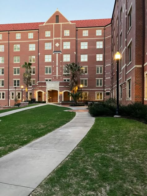 Fsu Campus Aesthetic, University Of South Florida Aesthetic, University Of Florida Aesthetic, Fsu Campus, Fsu Aesthetic, Florida State University Aesthetic, Fsu Dorm, Florida State University Campus, Campus Aesthetic