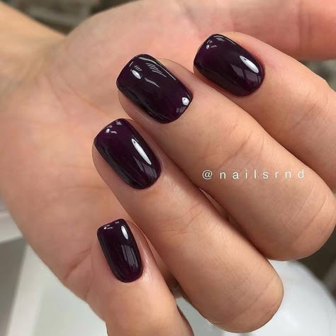 Dark Purple Shellac Nails, Dark Purple Square Nails, Short Dark Purple Nails, Dark Purple Nails Short, Dark Violet Nails, Dark Maroon Nails, Dark Short Nails, Short Dark Nails, Dark Plum Nails