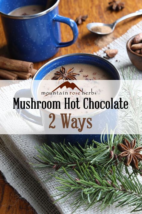 Mushroom Hot Chocolate - 2 Recipes | Mountain Rose Herbs Blog Mountain Rose Herbs Recipes, Reishi Mushroom Tea, Crock Pot Hot Chocolate Recipe, Ayurvedic Drinks, Aphrodisiac Foods, Cacao Recipes, Chocolate Recipes Easy, Mushroom Tea, Ayurvedic Recipes