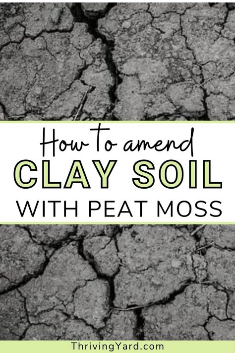 Peat Moss Uses, Clay Soil Garden, Amend Clay Soil, Clay Soil Improve, Gardening In Clay Soil, Peat Moss In The Garden, How To Improve Clay Soil For Garden, How To Extract Clay From Soil, How To Amend Clay Soil