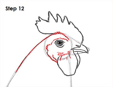 Rooster Drawing Simple, Rooster Drawing, Drawing Farm, Animal Tutorial, Chicken Drawing, Drawing Instructions, Rooster Painting, Chicken Painting, Animal Drawings Sketches