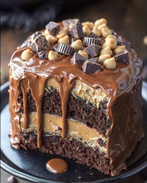 Chocolate Hazelnut Layer Cake 🍫 Ingredients: - 1 box chocolate cake mix (plus ingredients needed) - 1 cup hazelnut spread - 1 cup heavy cream - 1/2 cup powdered sugar - 1/4 cup cocoa powder - 1 cup chopped hazelnuts - 1/2 cup chocolate frosting (for layering) - Chocolate shavings (for decoration) Instructions: - Preheat oven according to cake mix - Prepare chocolate cake as directed and bake in two round cake pans. - Once cooled, layer cakes with chocolate frosting in between. - In a bowl, ... Brownie Cake Design, Chocolate Overload Cake, Cakes With Chocolate, Sweet Bakes, Colorful Desserts, Box Chocolate, Easy No Bake Desserts, Layer Cakes, Hazelnut Spread