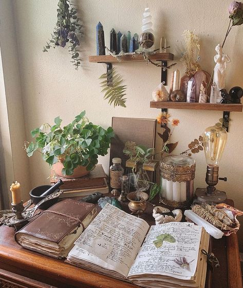 Crescent & Craft ☾ on Instagram: “Happy St. Patrick’s Day, everyone! I don’t normally celebrate buuuut I just got this shamrock clover plant a few days ago and they’re…” Clover Plant, Witchy Room, Ivy House, Dream Room Inspiration, Meditation Room, Cute Room Decor, Witchy Stuff, Room Aesthetic, Dream Bedroom